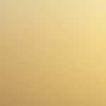 Biuro Rachunkowe LEGAL S.C.