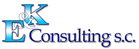 ek_consulting_logo